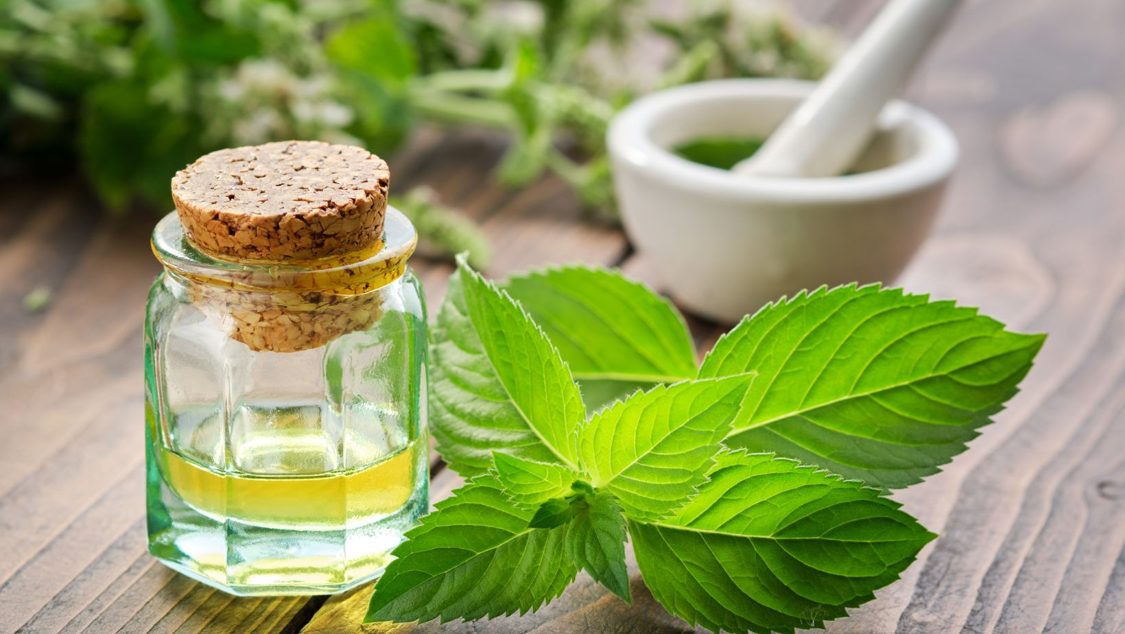 You are currently viewing Discover the Herbalism Guide Classic: Your Essential Resource for Natural Health and Wellness